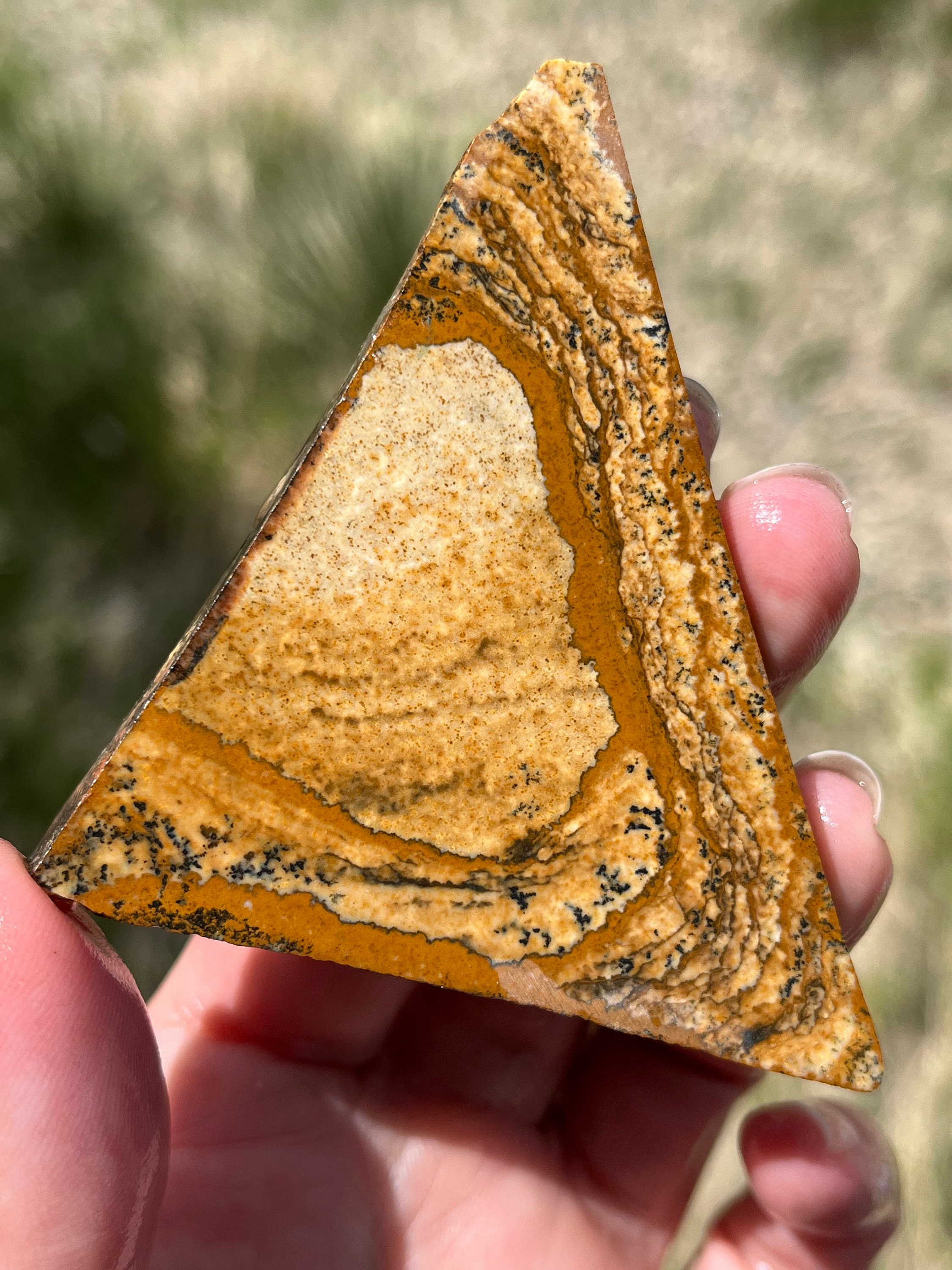 Picture Jasper Lapidary Slab Natural Stone Not Polished For Cabbing Rolling Hills