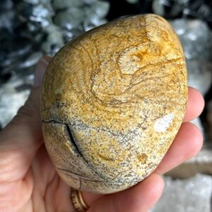 Picture Jasper Palmstone , Protection , Comfort, Nurturing Picture Jasper Palmstone , Protection , Comfort, Nurturing