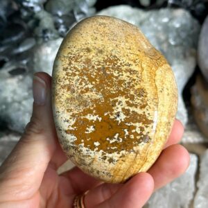 Picture Jasper Palmstone , Protection , Comfort, Nurturing Picture Jasper Palmstone , Protection , Comfort, Nurturing