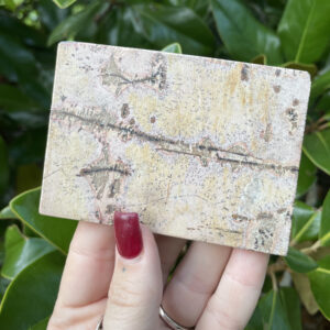 Picture Jasper, Picture Jasper Slab Picture Jasper, Picture Jasper Slab