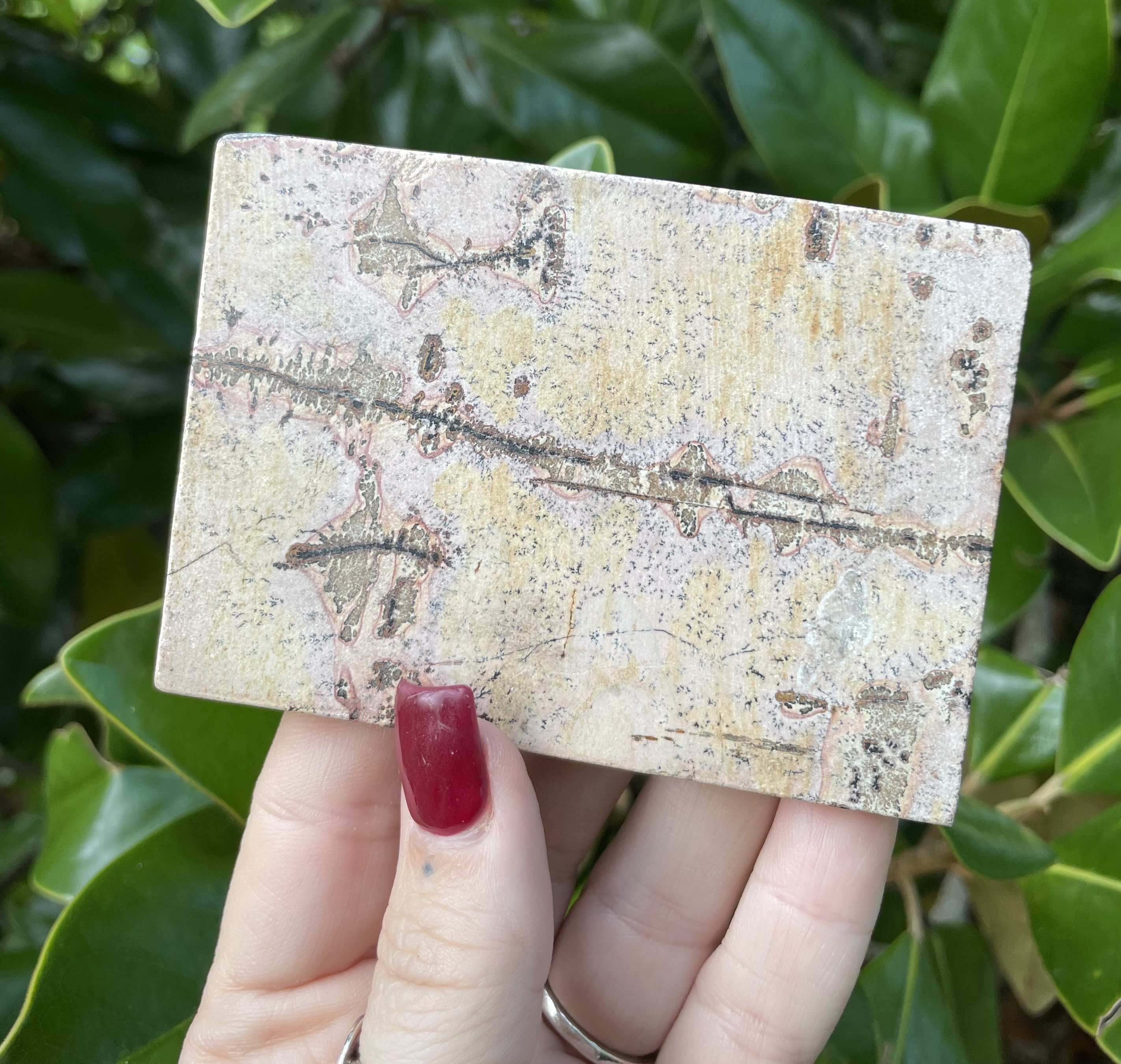 Picture Jasper, Picture Jasper Slab