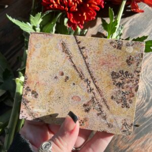 Picture Jasper, Picture Jasper Slab Picture Jasper, Picture Jasper Slab