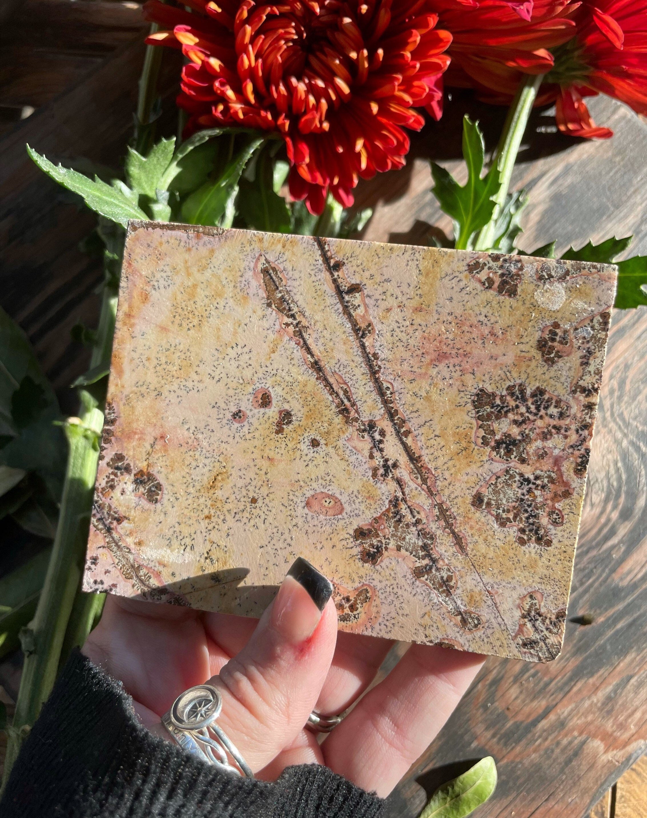 Picture Jasper, Picture Jasper Slab