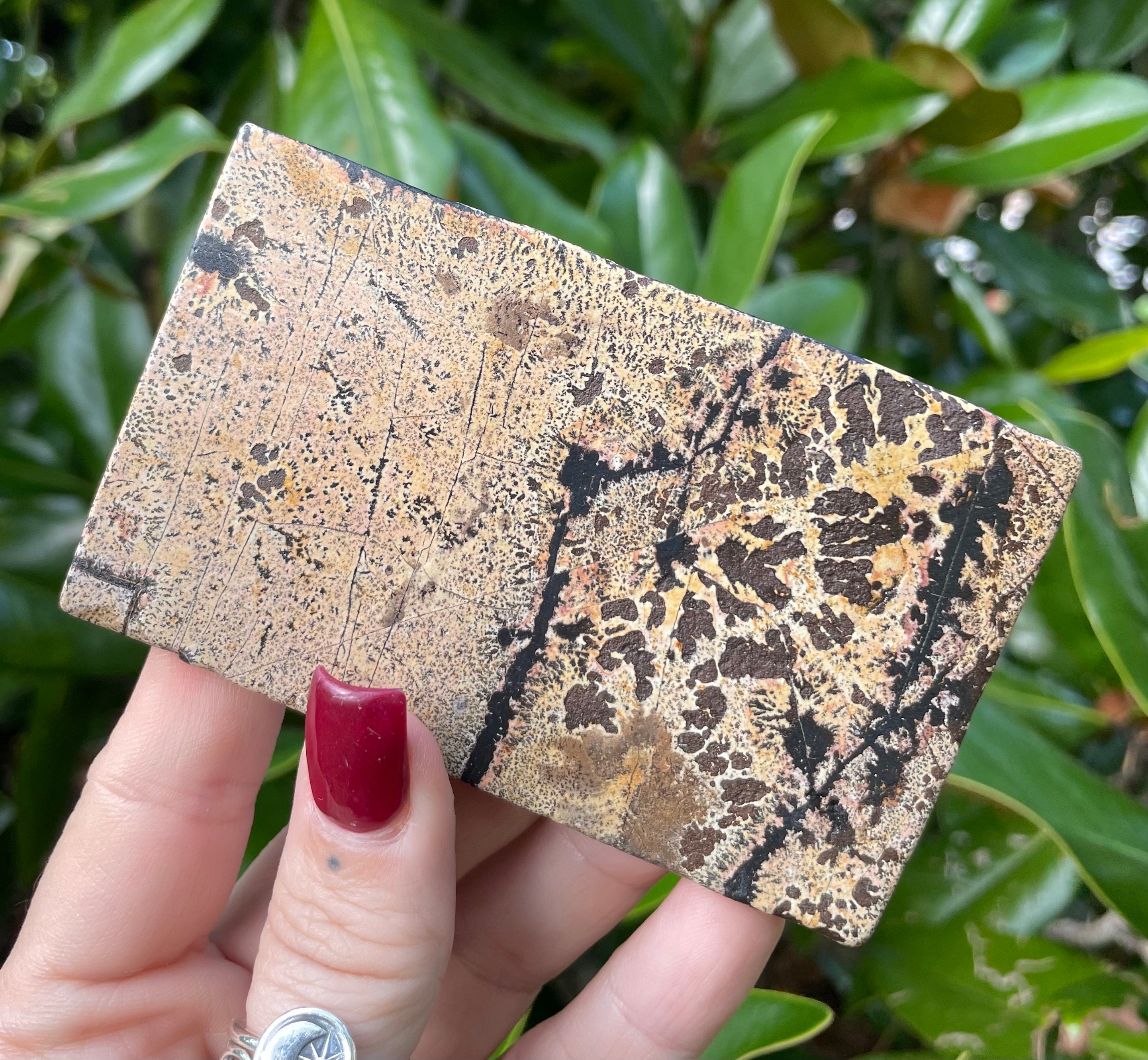 Picture Jasper, Picture Jasper Slab
