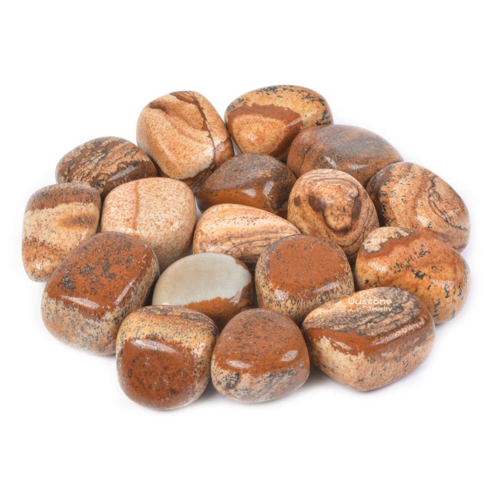 1/2lb Picture Jasper Tumbled Stone Specimen Collection Pocket Worry Healing Crystal Reiki