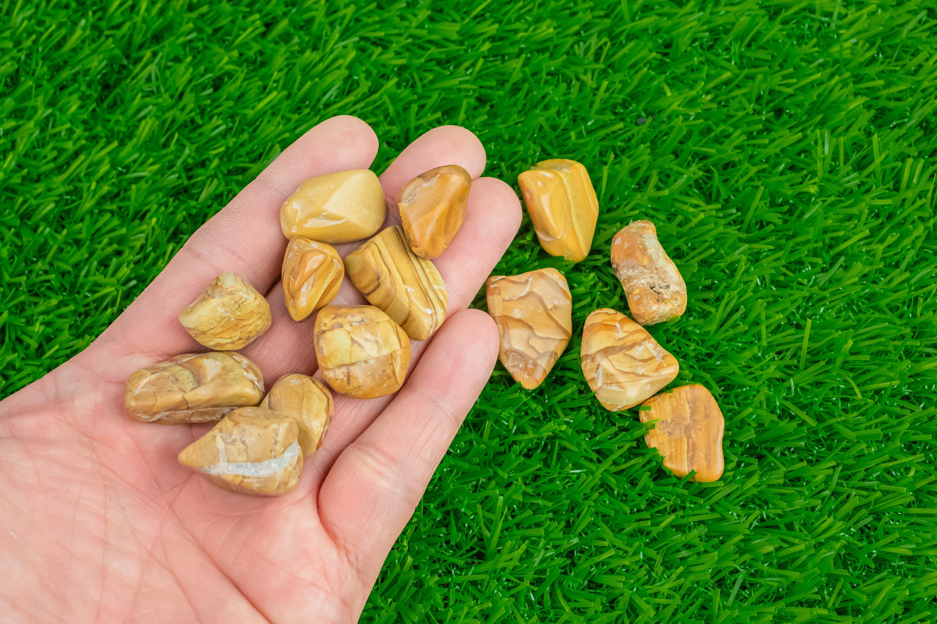 1 Pc Picture Jasper Small Tumbled Stone- 1/2 Inch-3/4 Inch