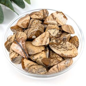 Picture Jasper .6-1.6" Tumbled Stone #lv6018