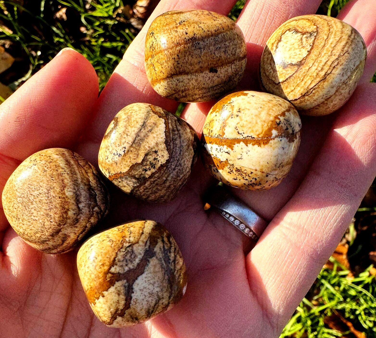 Picture Jasper Tumble 15-25mm Picture Jasper Tumblestone 1.5-2.5cm Medium Size Gemstone Polished Tumble Bulk Gemstone High Grade Gem Tumbles Picture Jasper Tumble 15-25mm Picture Jasper Tumblestone 1.5-2.5cm Medium Size Gemstone Polished Tumble Bulk Gemstone High Grade Gem Tumbles