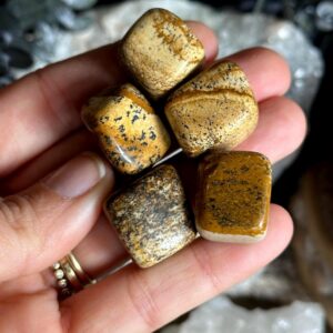 Tumbled Picture Jasper Stone, Chakra Pebble