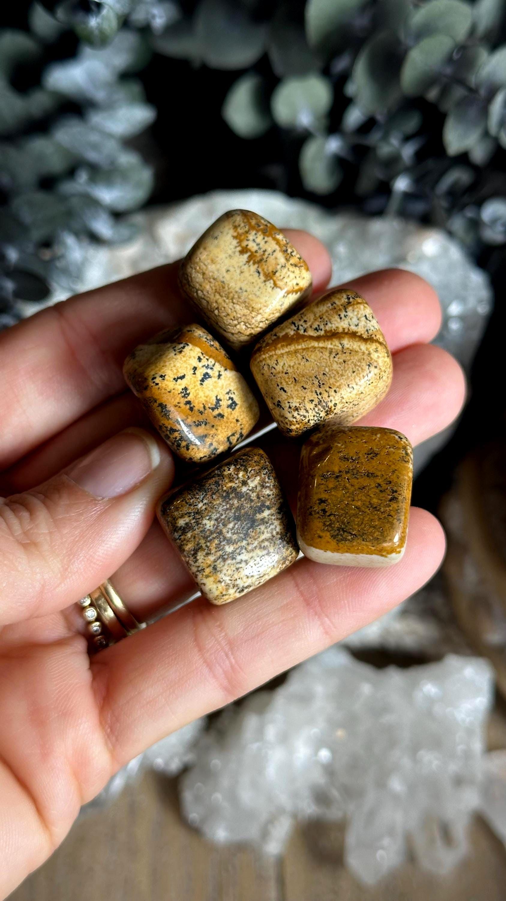 Tumbled Picture Jasper Stone, Chakra Pebble