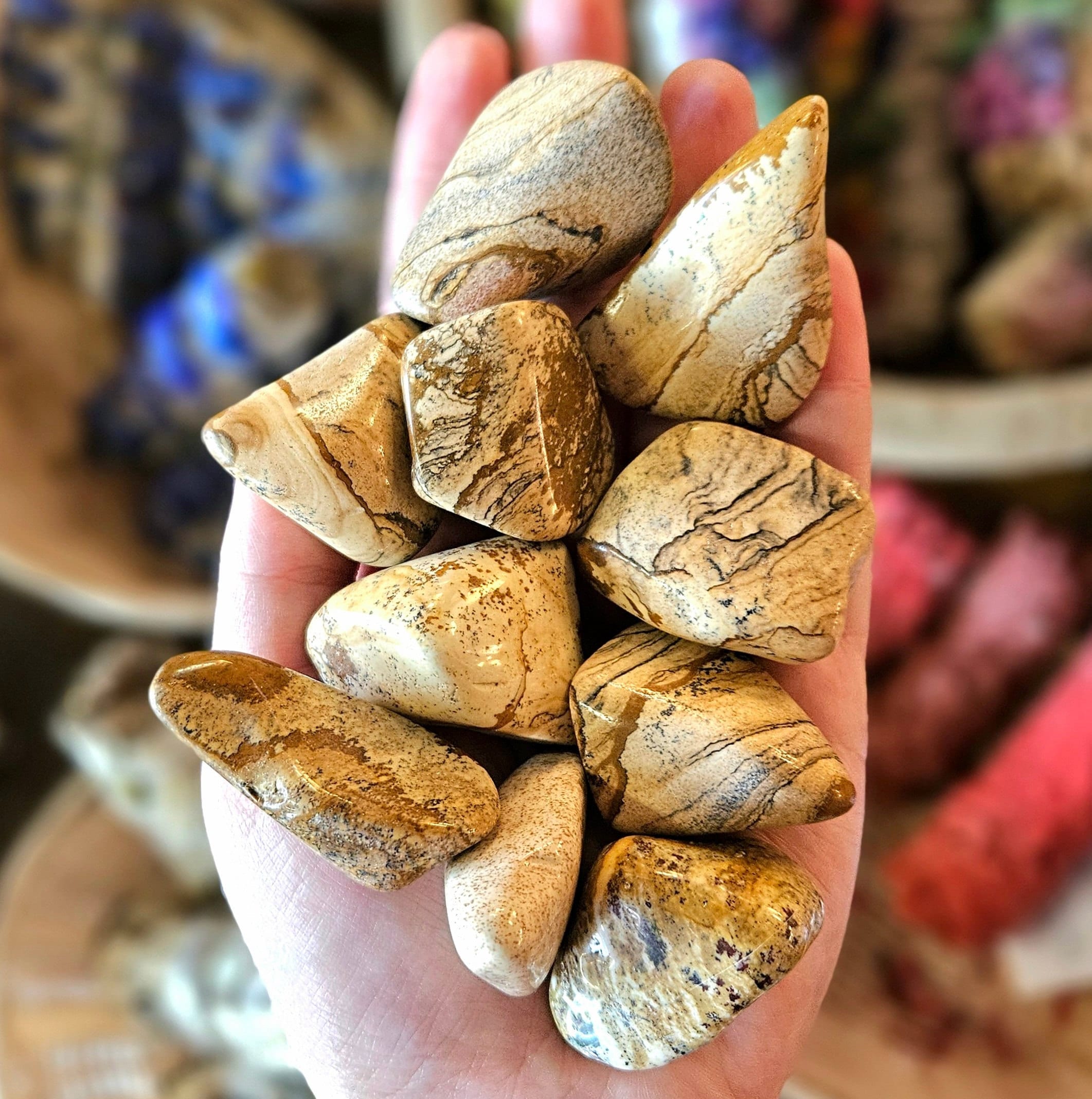 Picture Jasper Tumbled Stone, One, Large, Crystal Healing, Rock Hound, Crystal Grids, Metaphysical, Stones, Rocks, Minerals