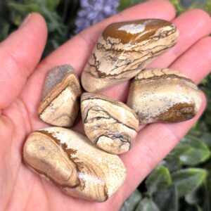 Picture Jasper Stone - Utah Jasper - Scenic Jasper - Jasper Tumbled - Jasper Crystal - Jasper Stone - Picture Jasper - Landscape Jasper