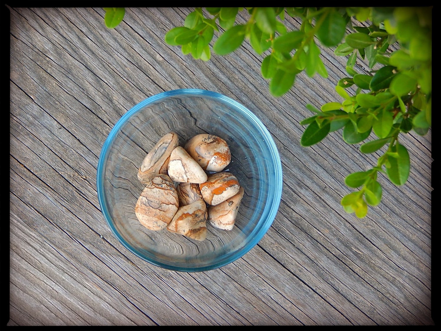 Tumbled Picture Jasper
