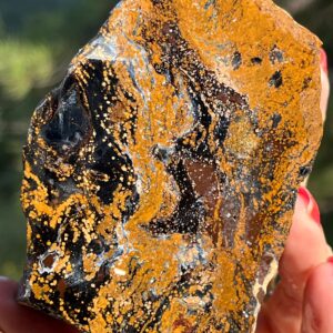 Blue and Gold Pietersite Rough Lapidary supplies natural stone for cabbing