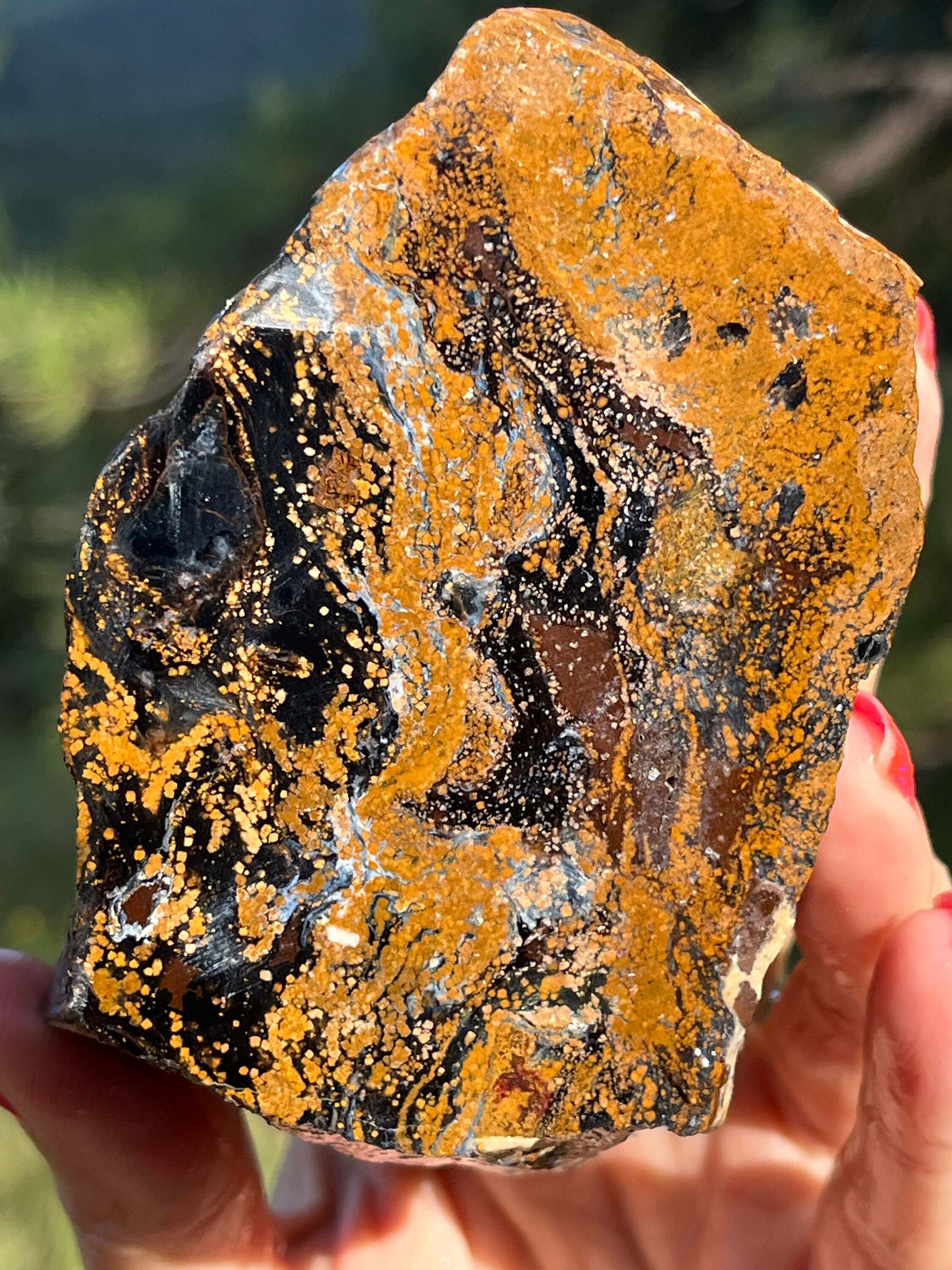 Blue And Gold Pietersite Rough Lapidary Supplies Natural Stone For Cabbing Blue And Gold Pietersite Rough Lapidary Supplies Natural Stone For Cabbing