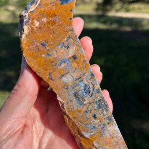Blue and Gold Pietersite Rough Lapidary supplies natural stone for cabbing