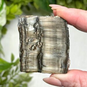 Arizona Pietersite Slab | 20g | - #20 (polished Brown Crystal Chunk, Third-eye Chakra, Intuition) Arizona Pietersite Slab | 20g | - #20 (polished Brown Crystal Chunk, Third-eye Chakra, Intuition)