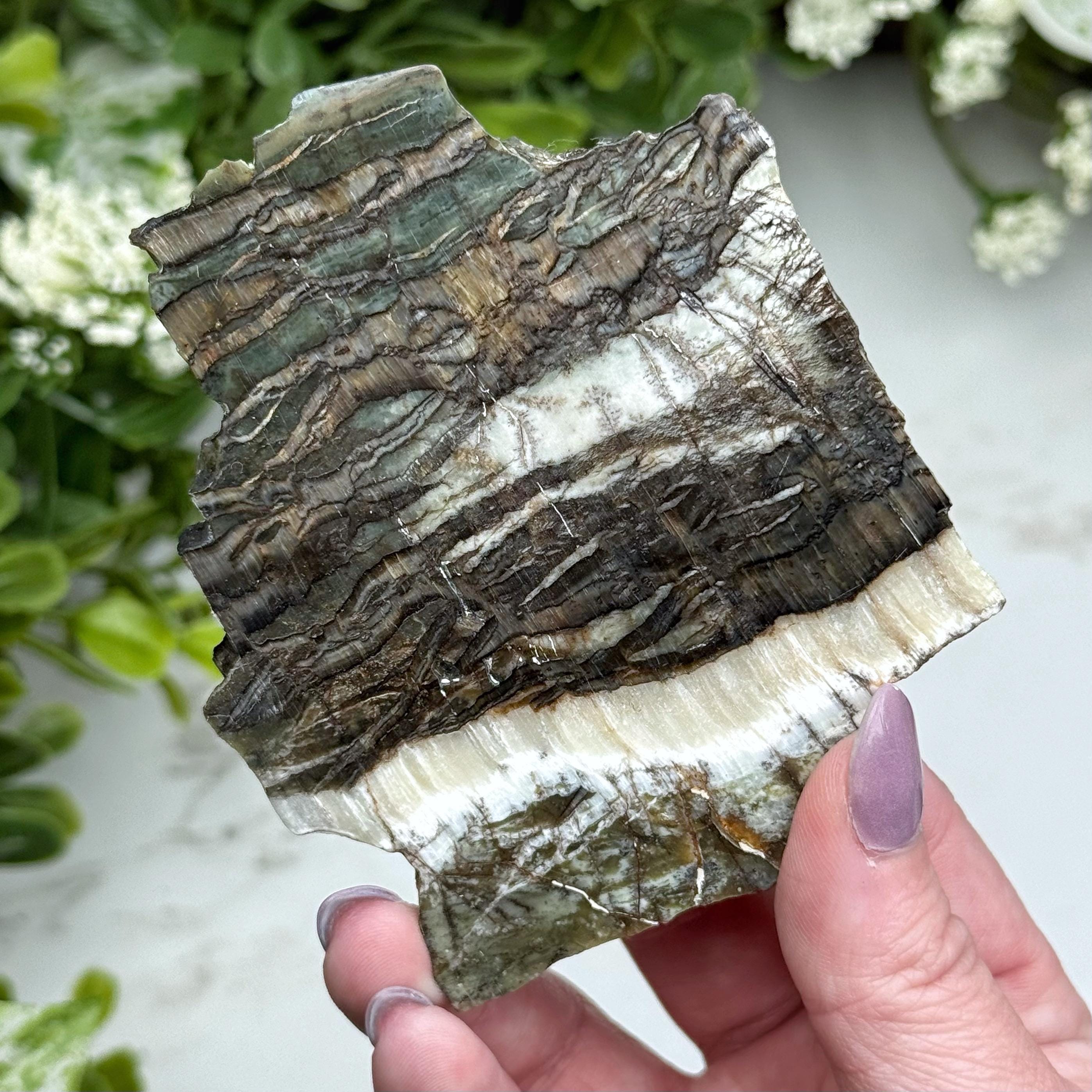 Arizona Pietersite Slab | 81g | - #5 (polished Brown Crystal Chunk, Third-eye Chakra, Intuition)