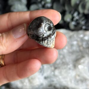 Mini Pietersite Skull Mini Pietersite Skull