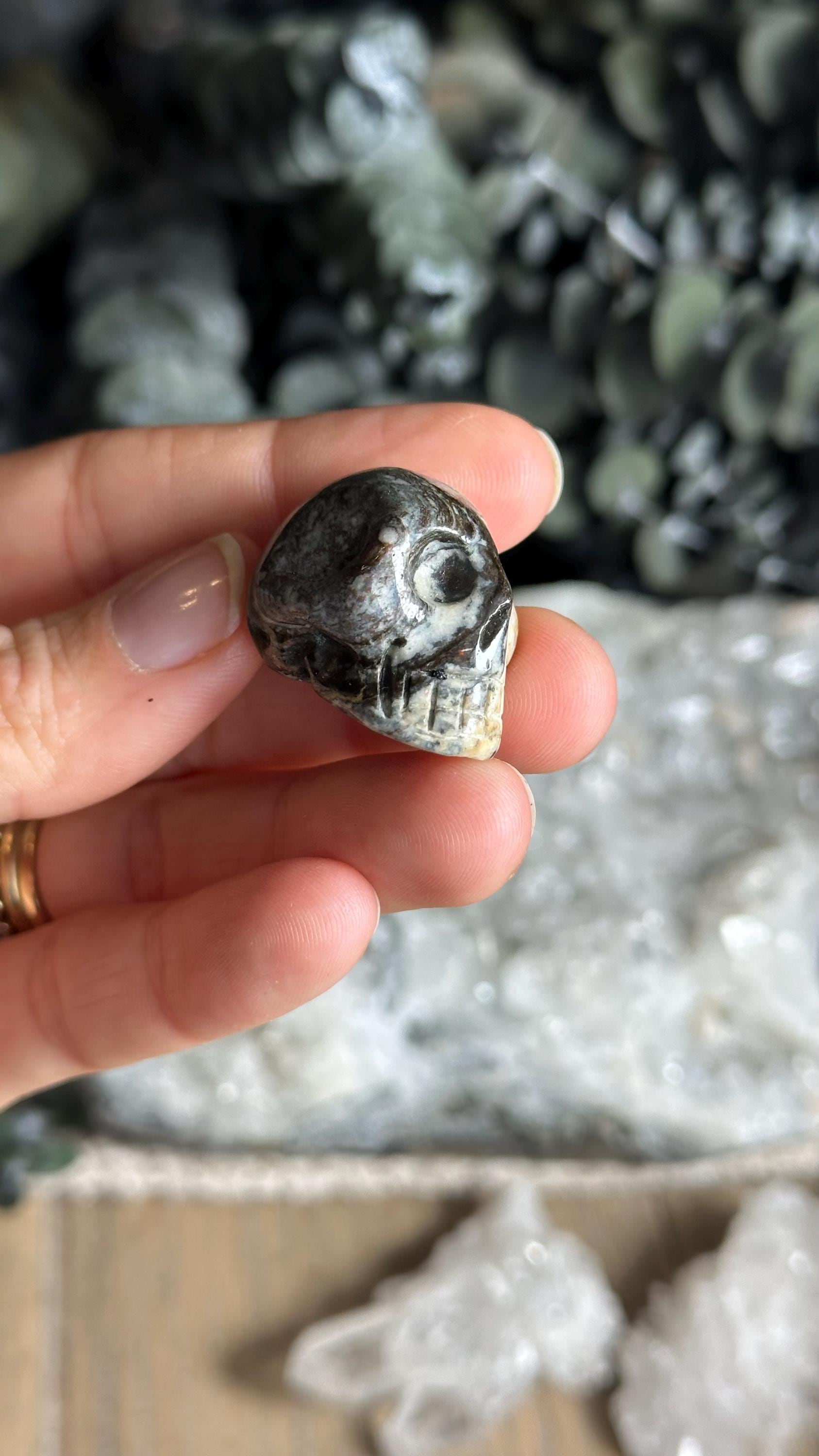 Mini Pietersite Skull