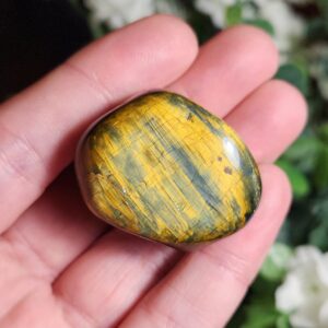 Nellite Crystal: Tumbled Pietersite & Tiger's Eye Honey Stone Nellite Crystal: Tumbled Pietersite & Tiger's Eye Honey Stone