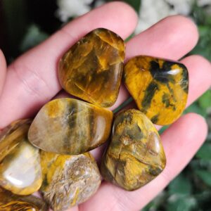 Pietersite & Tiger's Eye - Nellite Crystal - Honey Stone - Nellite Tumble - Polished Nellite - Nellite Specimen - Tumbled Nellite Stone Pietersite & Tiger's Eye - Nellite Crystal - Honey Stone - Nellite Tumble - Polished Nellite - Nellite Specimen - Tumbled Nellite Stone