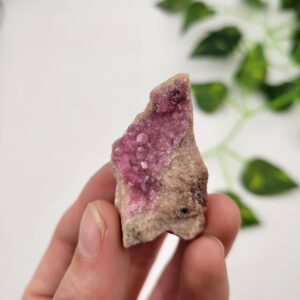 Raw Pink Cobaltoan Calcite: Drury Crystal, Africa Collection Piece