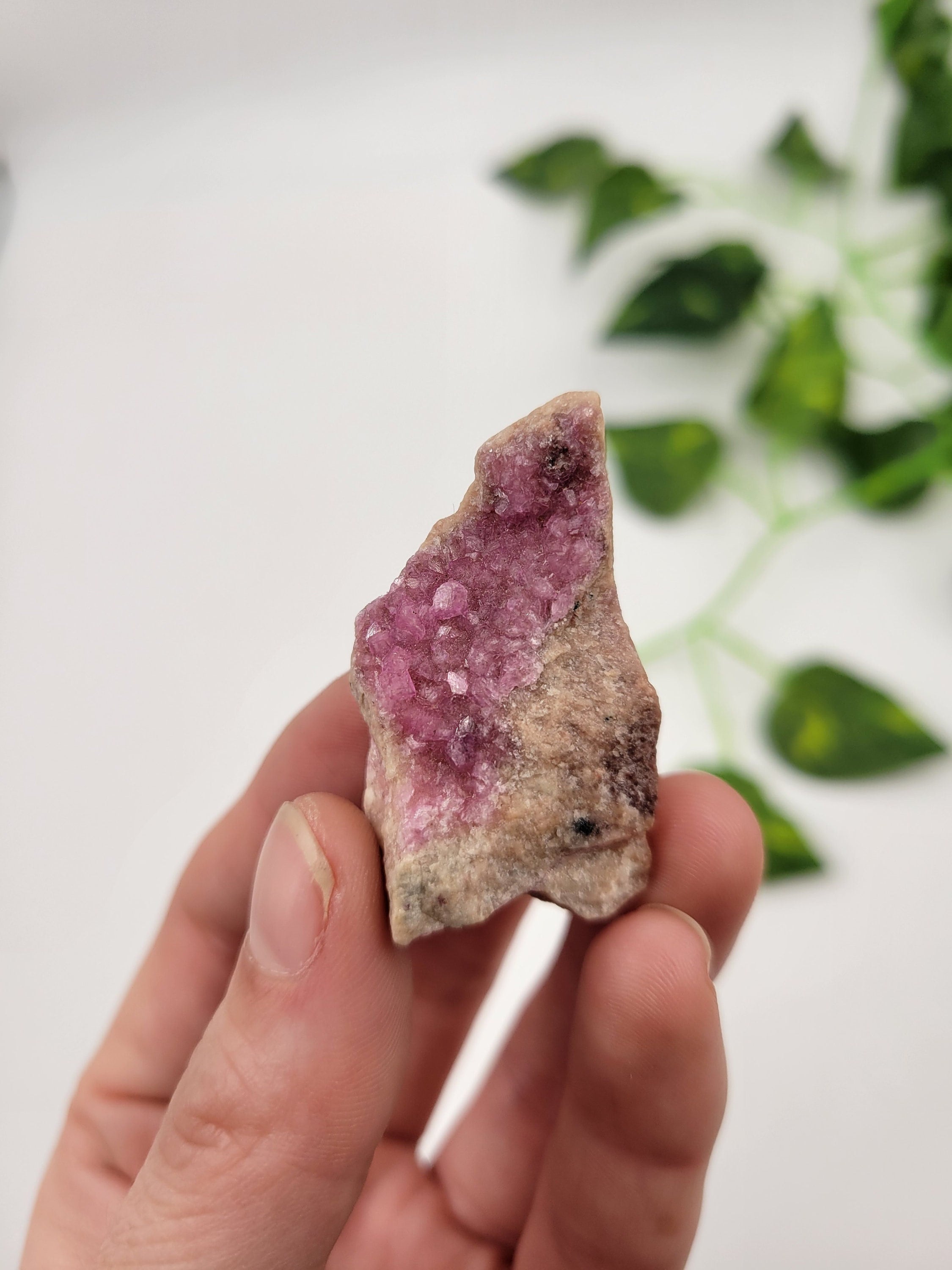 Raw Pink Cobaltoan Calcite: Drury Crystal, Africa Collection Piece Raw Pink Cobaltoan Calcite: Drury Crystal, Africa Collection Piece