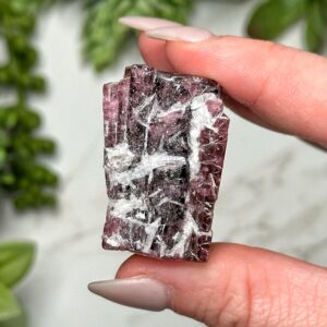 Pink Tourmaline | 30g | - #7 (raw Crystal Specimen, Heart Chakra, Healing Stone, Love) Pink Tourmaline | 30g | - #7 (raw Crystal Specimen, Heart Chakra, Healing Stone, Love)
