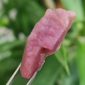 Alluring Raw Pink Tourmaline Specimen: 13 CTS Reiki Crystal, October Birthstone For Making Jewelry
