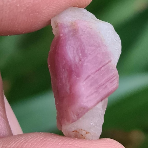 Pink Tourmaline Crystal: Raw Rough Gemstone (16 Cts), October Birthstone