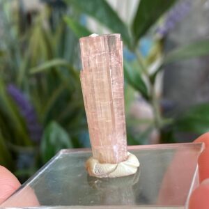 Pink Tourmaline, Pink Tourmaline Crystal, Pink Tourmaline Specimen, Bi Color, Yellow Pink