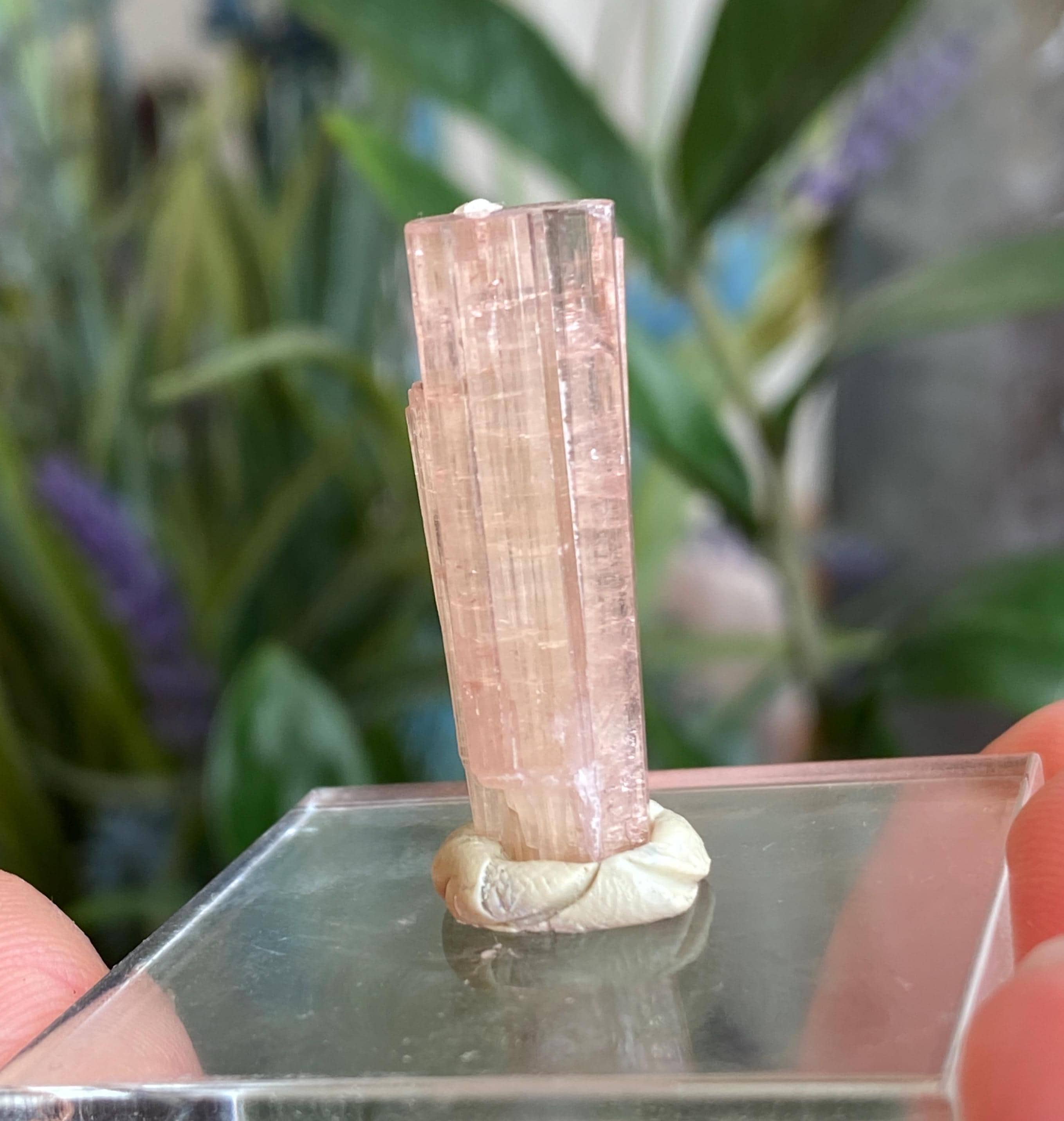 Pink Tourmaline, Pink Tourmaline Crystal, Pink Tourmaline Specimen, Bi Color, Yellow Pink