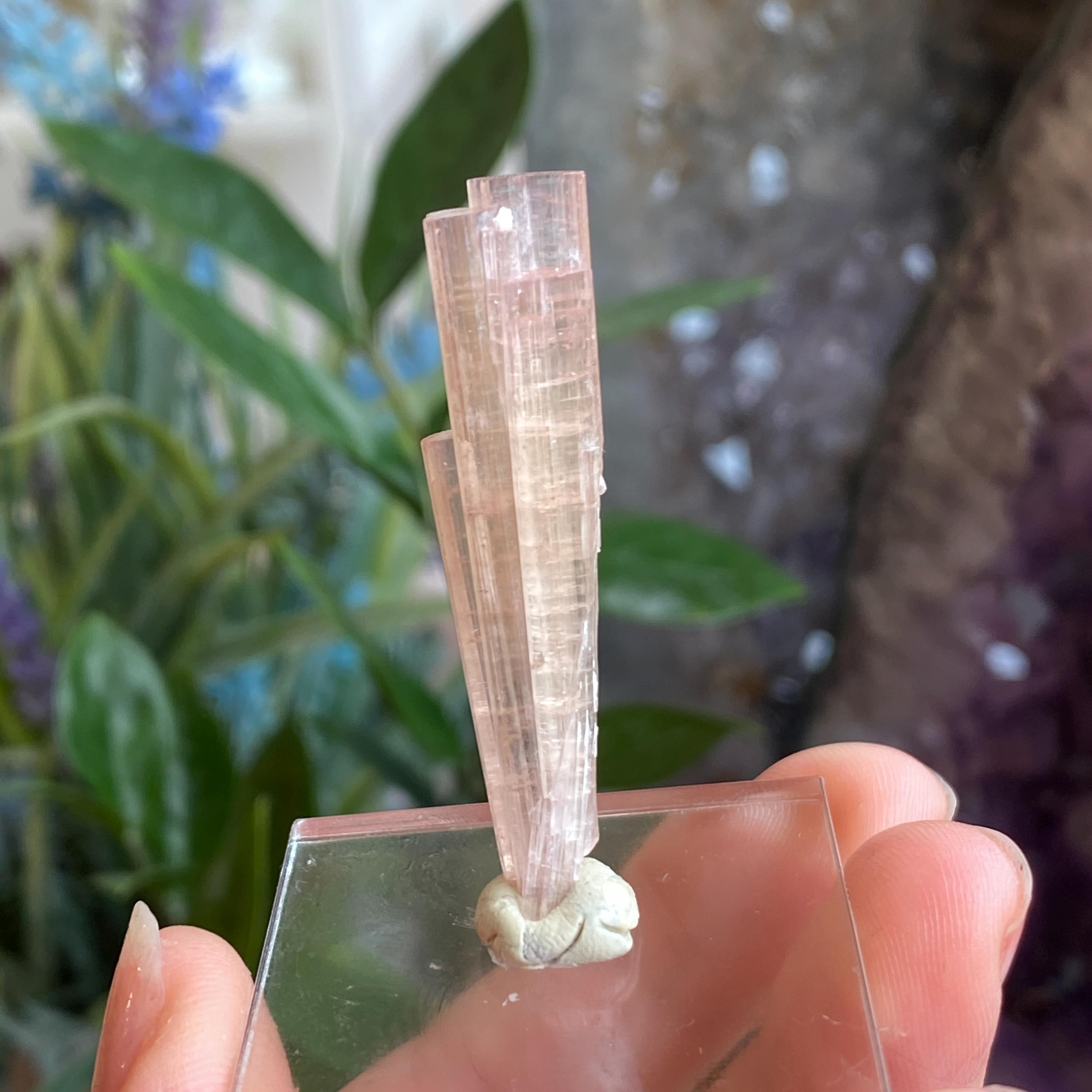 Pink Tourmaline, Pink Tourmaline Crystal, Pink Tourmaline Specimen, Bi Color, Yellow Pink Pink Tourmaline, Pink Tourmaline Crystal, Pink Tourmaline Specimen, Bi Color, Yellow Pink