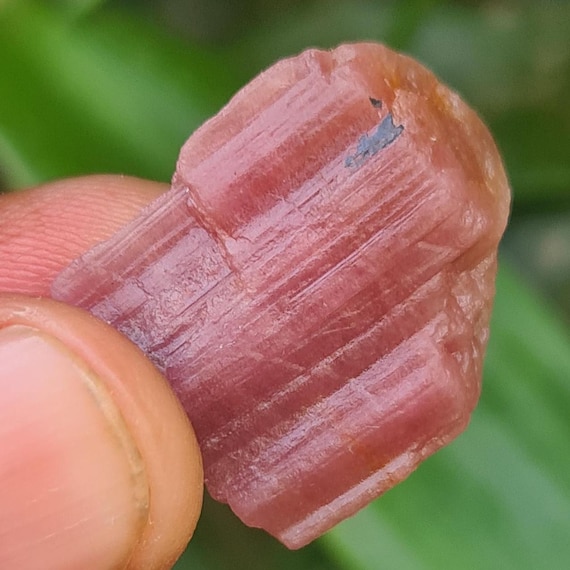 Raw Pink Tourmaline Gemstone: 22 Carat October Birthstone Crystal