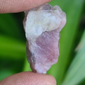 Massive Pink Tourmaline Comical Specimen: 30 CTS Bi-Colour October Birthstone, Reiki Crystal Healing Rough