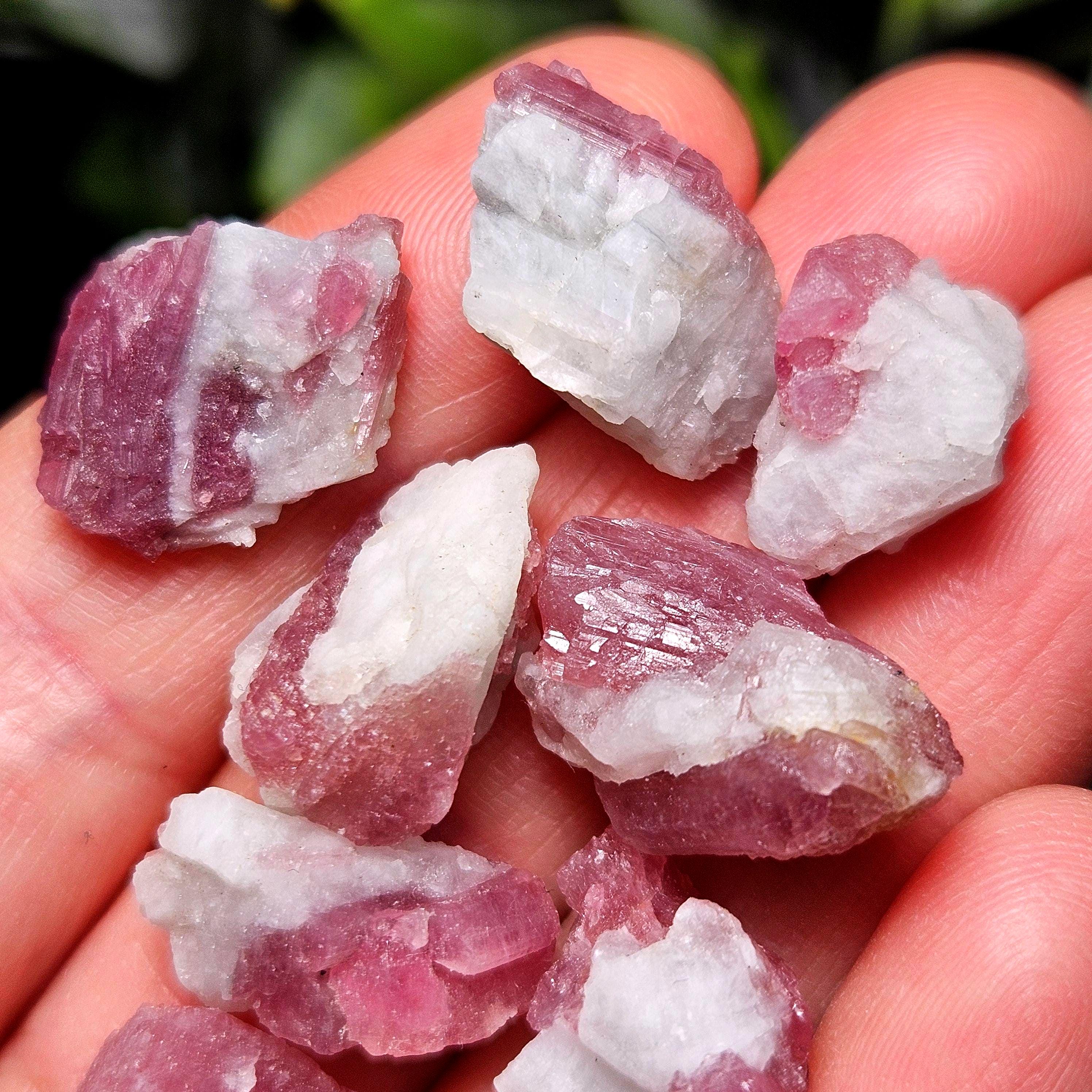 Pink Tourmaline & Quartz, Raw Crystal From Brazil - Tourmaline Quartz Specimen