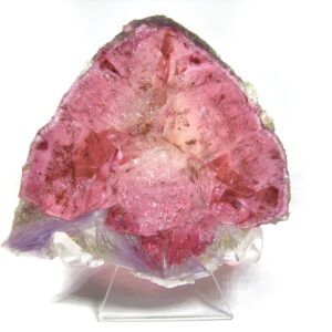 TOP Quality Elbaite Pink Tourmaline Crystal Slice Double Polished Specimen (145+ Carats!)