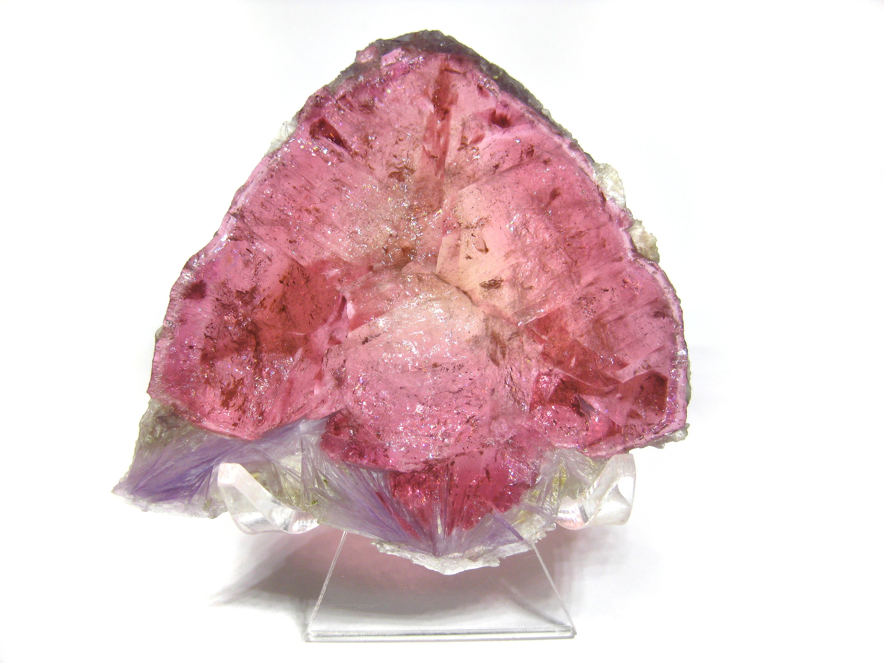 Top Quality Elbaite Pink Tourmaline Crystal Slice Double Polished Specimen (145+ Carats!)