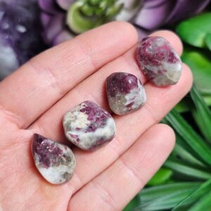 Unicorn Stone: Tumbled Rubellite Pink Tourmaline Crystal Unicorn Stone: Tumbled Rubellite Pink Tourmaline Crystal