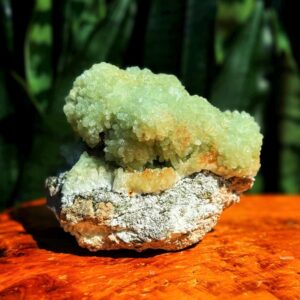 Natural Prehnite crystal cluster - “Heals the Healer" & purifies your auric field - Heart Chakra + Root Chakra