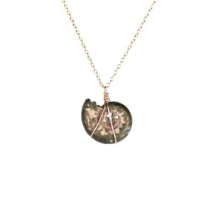 Ammonite necklace - fossil - shell necklace - infinity - a fossilized pyrite ammonite shell hanging on a 14k gold vermeil chain Ammonite necklace - fossil - shell necklace - infinity - a fossilized pyrite ammonite shell hanging on a 14k gold vermeil chain