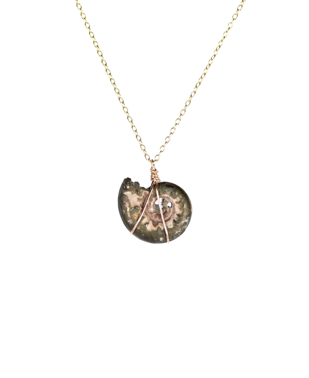 Ammonite Necklace - Fossil - Shell Necklace - Infinity - A Fossilized Pyrite Ammonite Shell Hanging On A 14k Gold Vermeil Chain