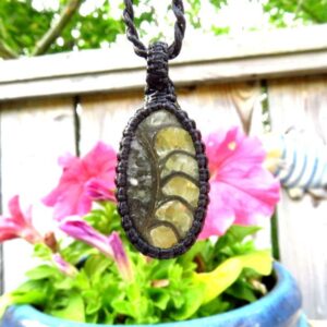 Ammonite Pyrite Macrame Necklace, Ammonite Jewelry, Mens Necklace, Fossil Necklace, Man Gift Idea, For The Dad, Christmas Gift Ideas Ammonite Pyrite Macrame Necklace, Ammonite Jewelry, Mens Necklace, Fossil Necklace, Man Gift Idea, For The Dad, Christmas Gift Ideas