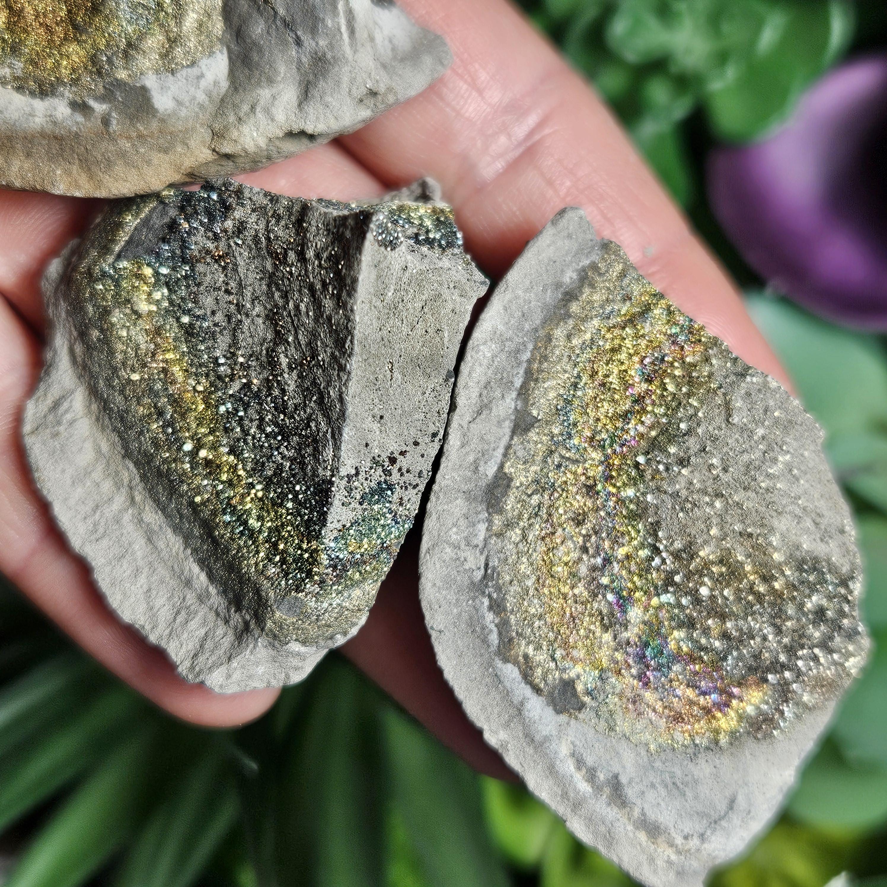 Rainbow Pyrite Specimen: Volga River Crystal Cluster