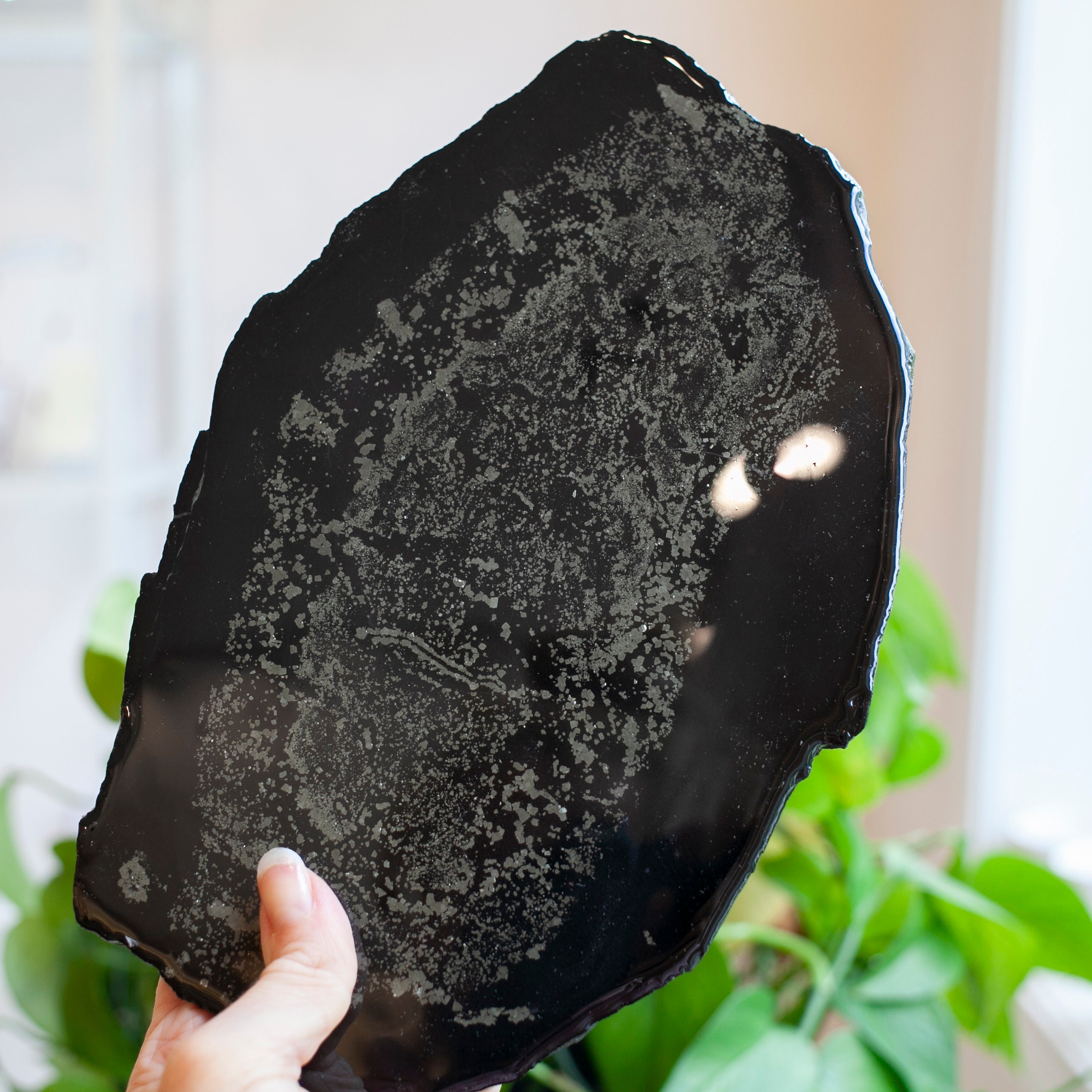Pyrite Nodule Slab, One Of A Kind, Locally Mined, Pyrite In Shale, Plainsville, Ma.