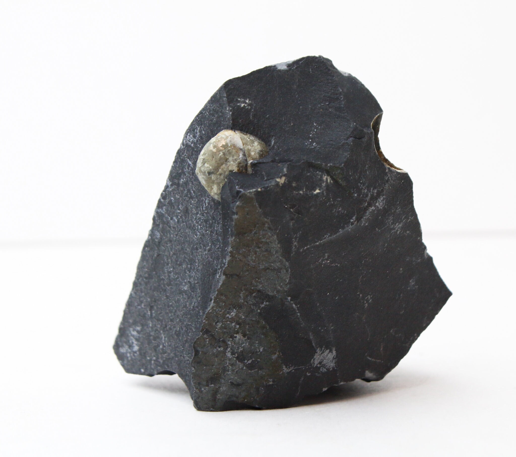 Pyrite Sphere In Shale