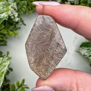 Dendritic Quartz Cabochon | 13g | - #2 (polished Clear Crystal Jewelry, Root Chakra, Grounding)