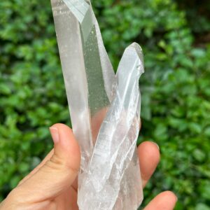 Brazil Lemurian Seeds Time Links Quartz Twins Crystal Point/akashic Striation/healing/meditation/special Gift-238 G