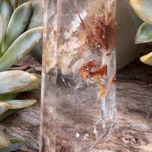 Fire Amphibole Quartz Point From Brazil